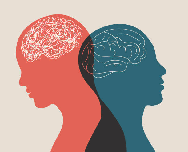 Two illustrations depict two overlapping heads facing away from each other. The head on the right side depicts squiggly lines where a brain would normally be. The head on the left depicts a simple illustration of a brain.